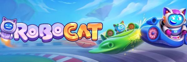 Robocat game show studio stream on a laptop